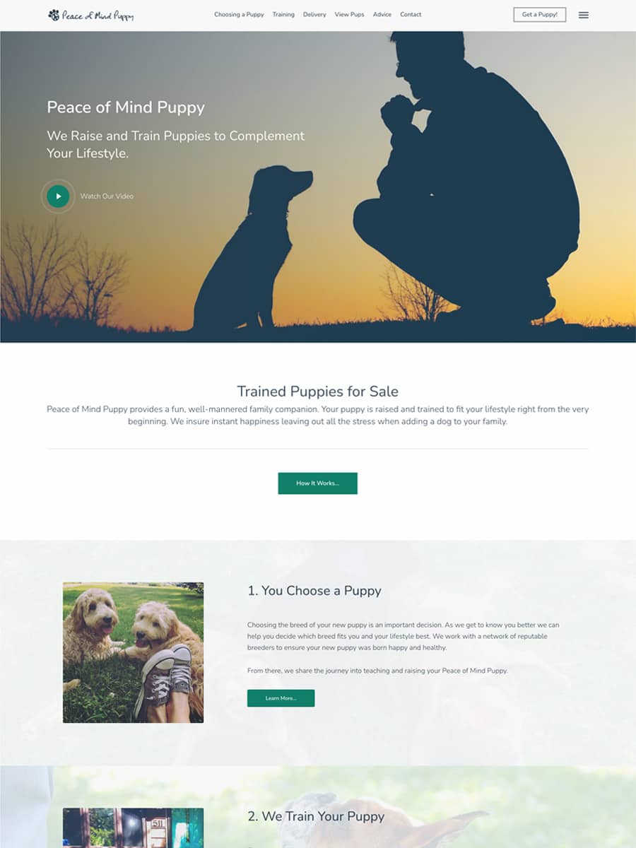 Peace of Mind Puppy Web Design & Brand Develeopment - Consonant Marketing
