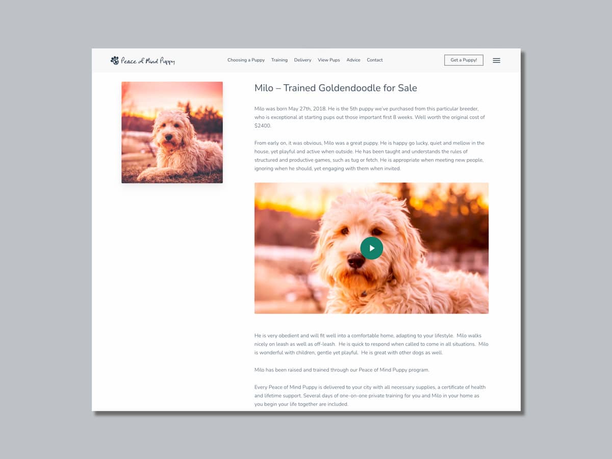 Peace of Mind Puppy - Individual Puppy Profile Page